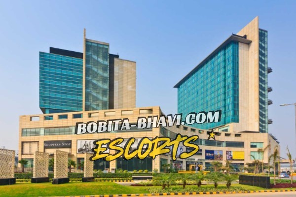 Escorts near Crowne Plaza Hotel Rohini Delhi